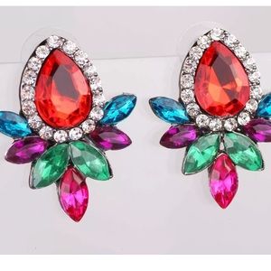 Pretty statement earrings